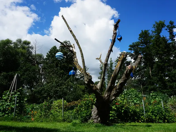 Hof Schwarzes Moor Hof Schwarzes Moor